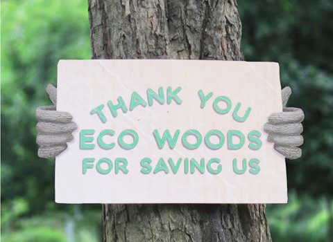 Thanks you Eco Wood For Saving US.
